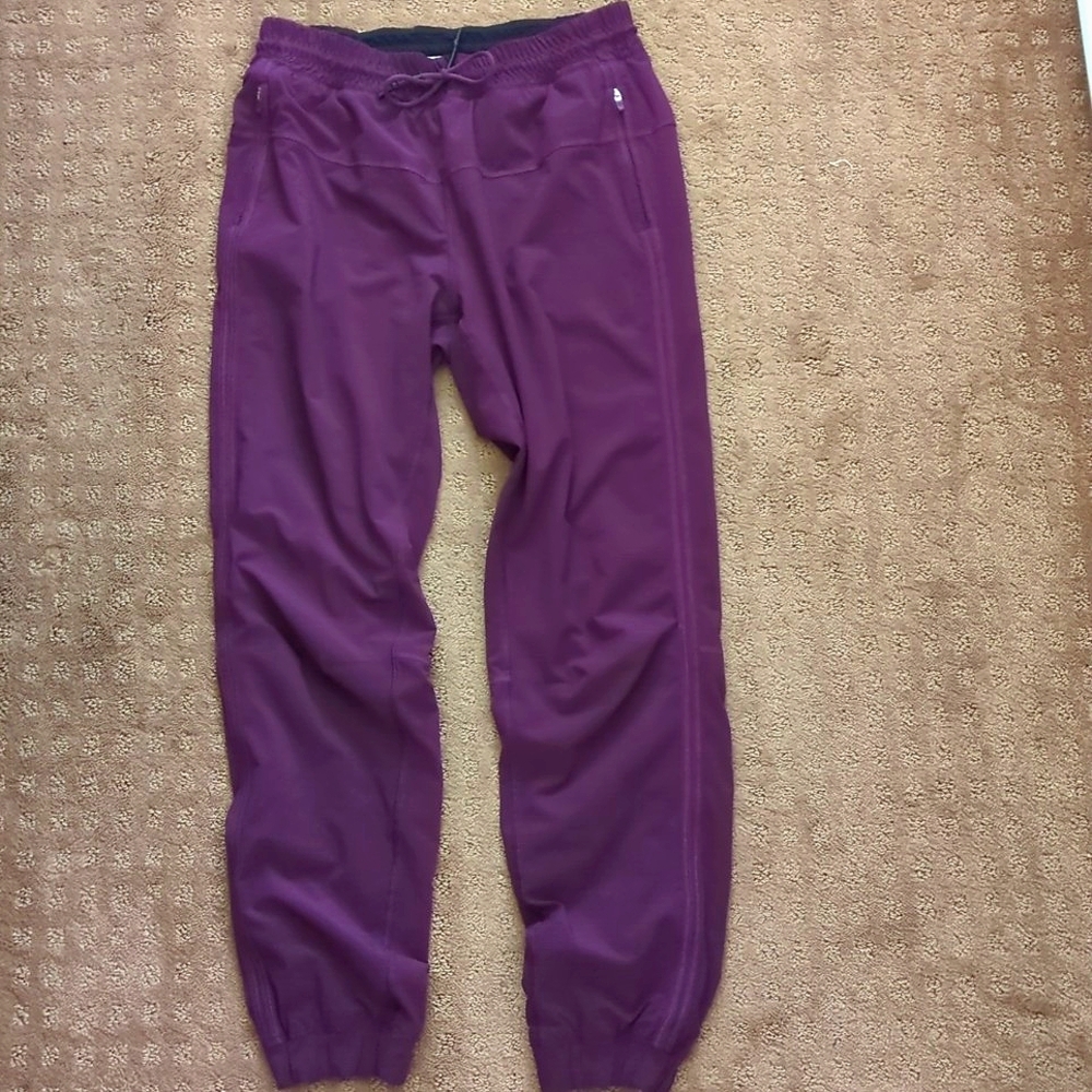 Lululemon Fleece Lined Track Pants